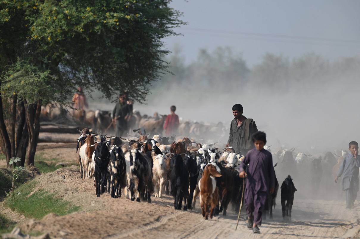 Homestead Afghanistan